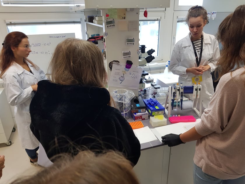 Instytut Immunologii i Terapii Doświadczalnej PAN