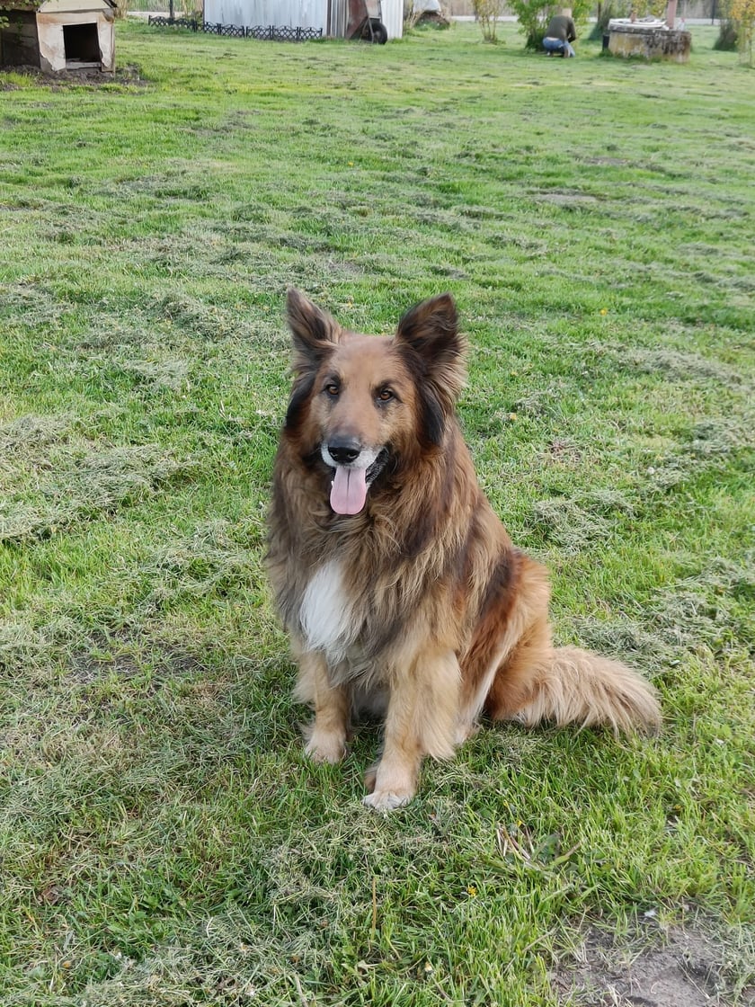 Psy użytkowników www.wroclaw.pl