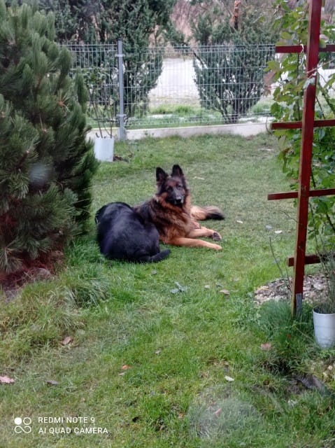 Psy użytkowników www.wroclaw.pl