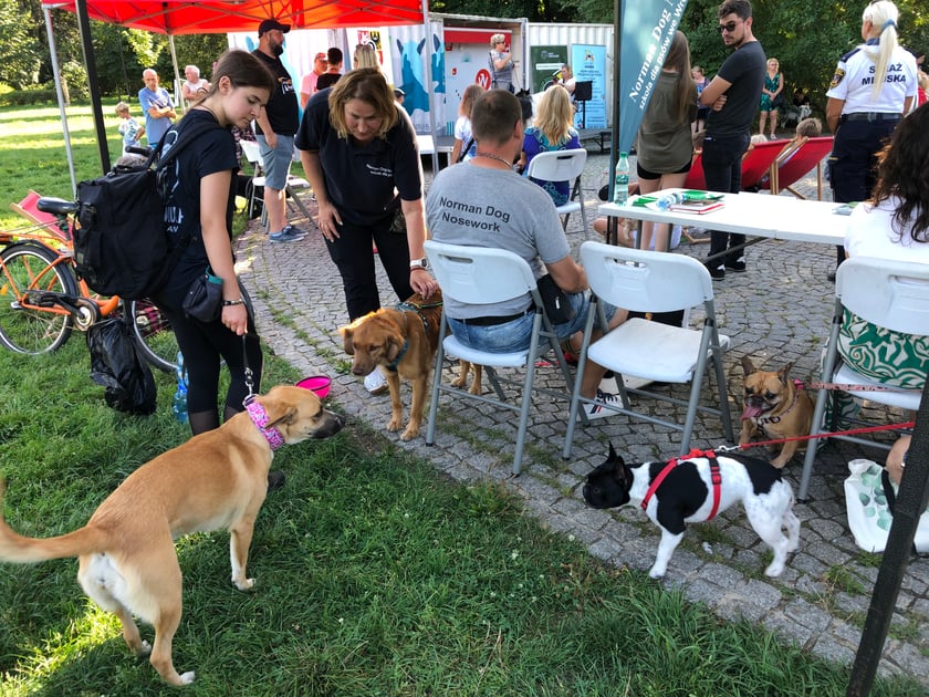Nadodrzański Dzień Psa w Parku Staszica