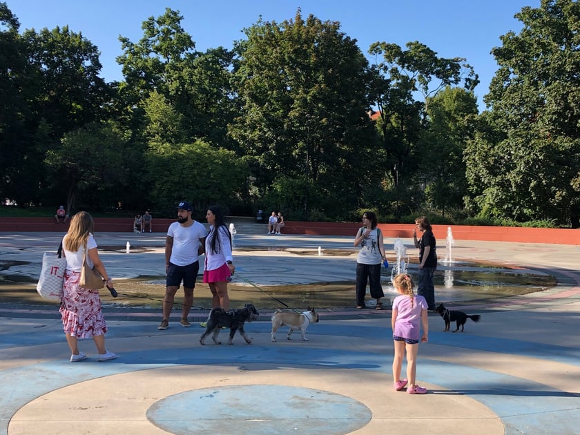 Nadodrzański Dzień Psa w Parku Staszica