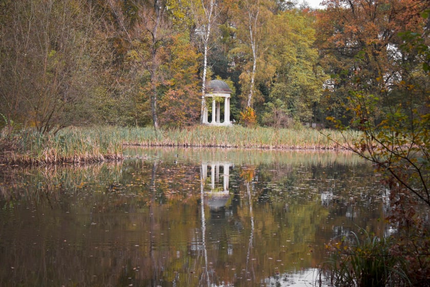 Widok na staw w Parku Pawłowickim (sąsiaduje on z Lasem Zakrzowskim)