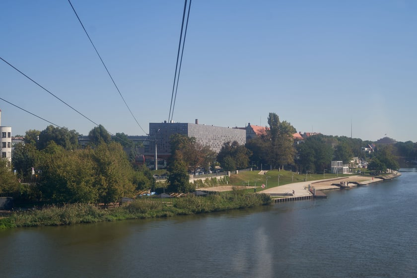 Polinka ma już 10 lat!
