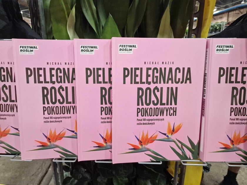 Festiwal roślin doniczkowych w Czasoprzestrzeni na Wielkiej Wyspie