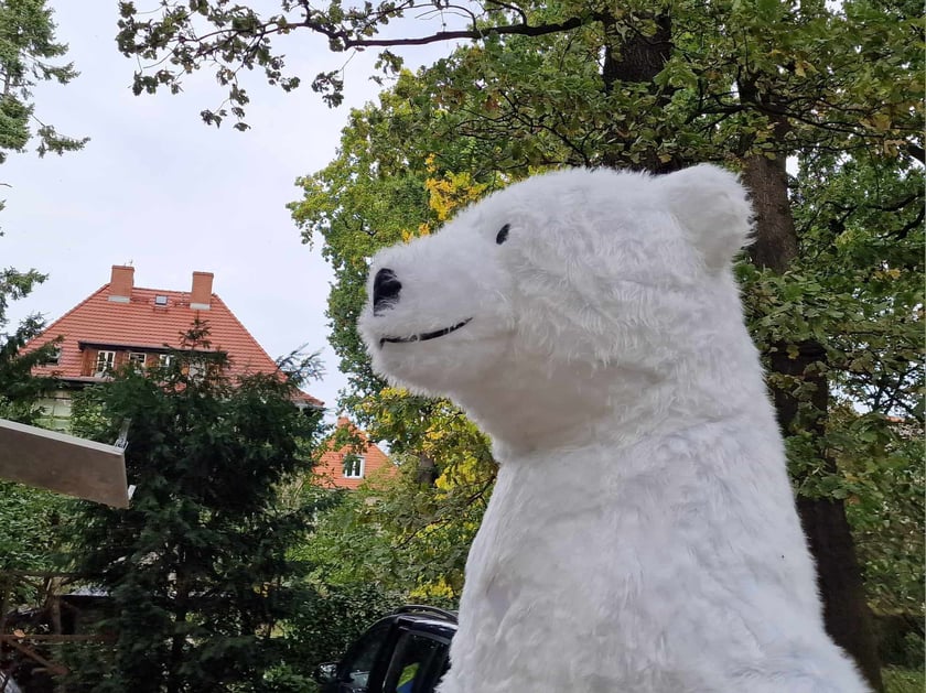 Festyn Biskupiński i Bieg Wielkiej Wyspy