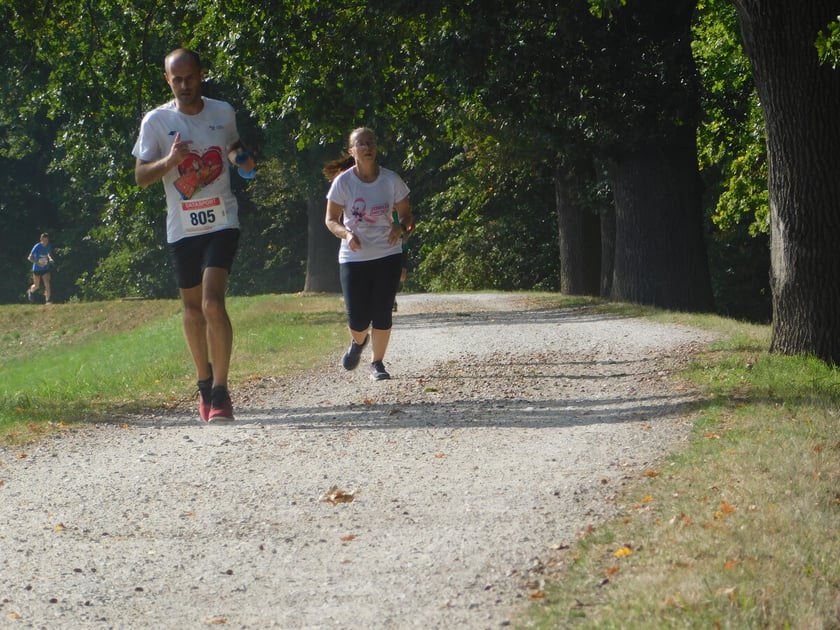 Bieg Wielkiej Wyspy, 30.09.2023