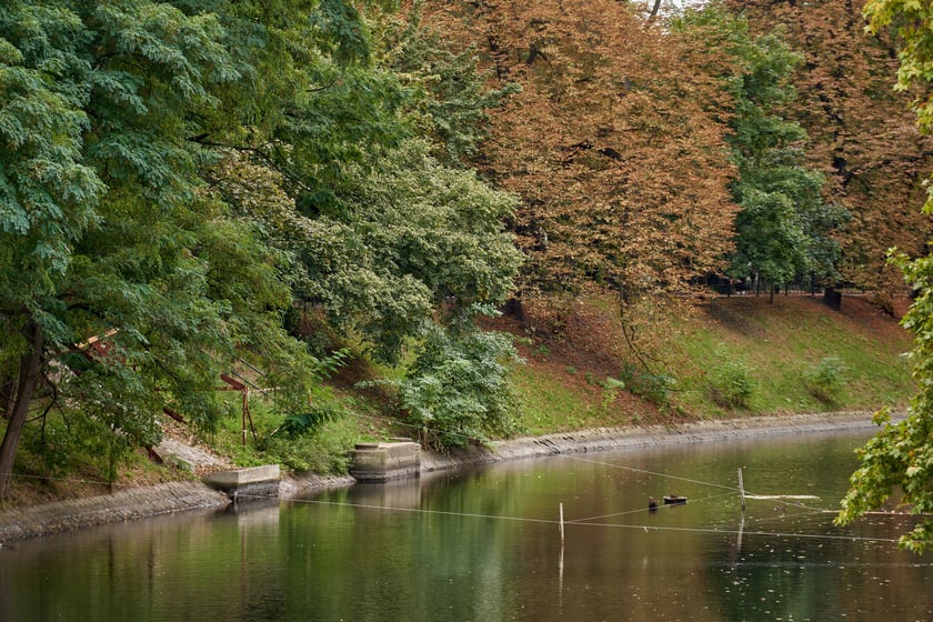 Fosa miejska i okolice, miejsce po Kładce św. Antoniego, październik 2023