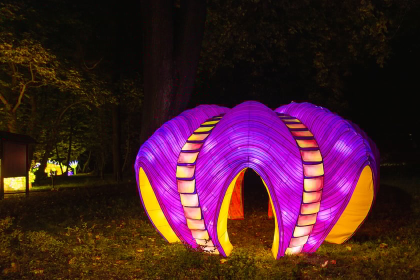 Garden of Lights - Ogród Świateł - wystawa "Dzika Afryka"