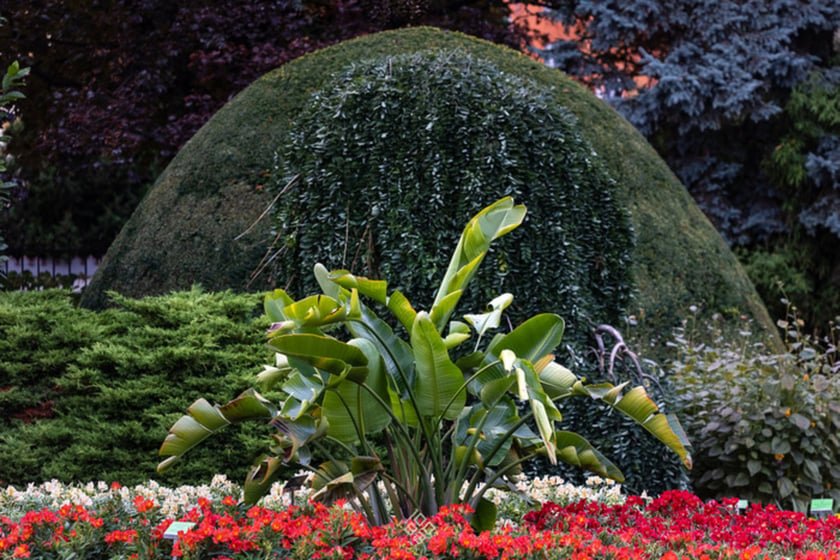 Jesień w Ogrodzie Botanicznym we Wrocławiu
