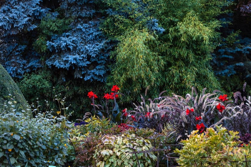 Jesień w Ogrodzie Botanicznym we Wrocławiu