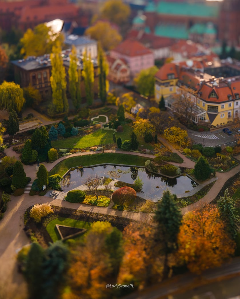 Wrocław na zdjęciach z drona