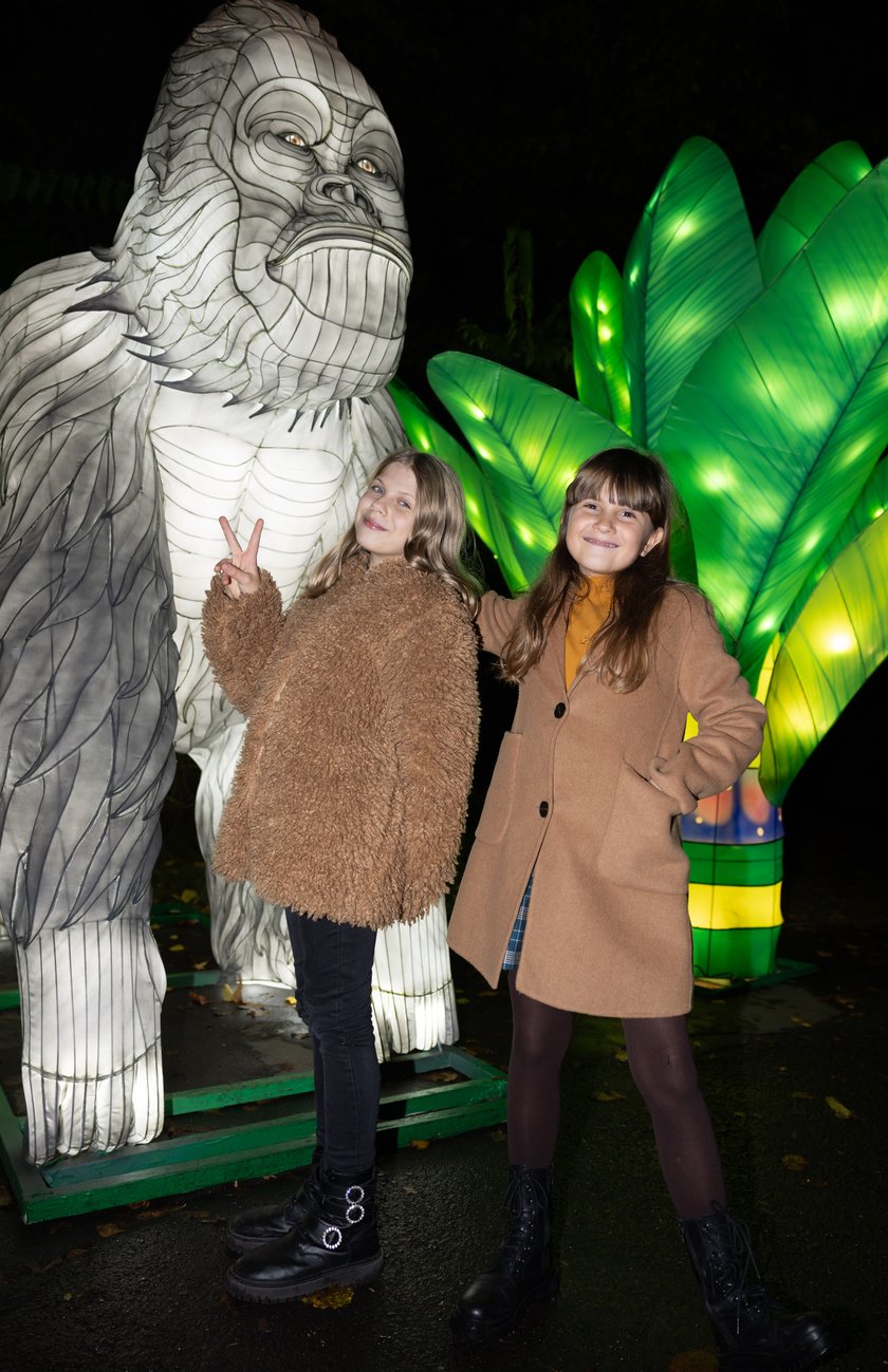 Garden of Lighst - Ogród Świateł - wystawa "Dzika Afryka" w zoo