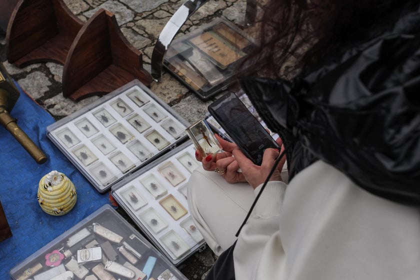 Giełda Staroci pod Iglicą przy Hali Stulecia we Wrocławiu