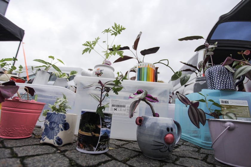 Giełda Staroci pod Iglicą przy Hali Stulecia we Wrocławiu