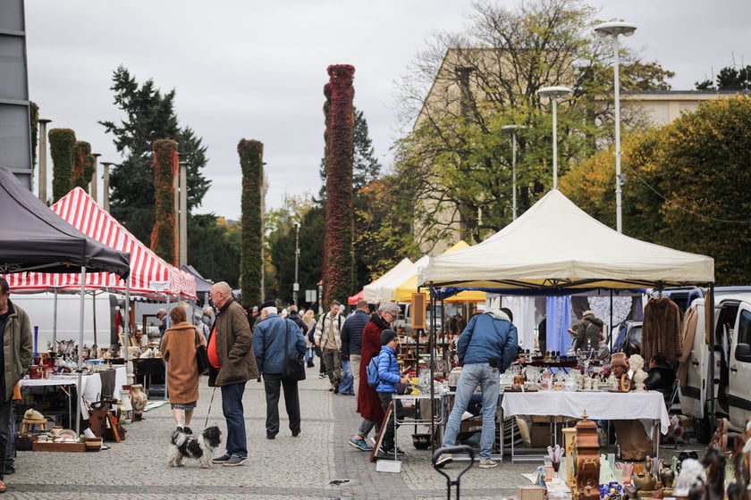 Giełda Staroci pod Iglicą przy Hali Stulecia we Wrocławiu