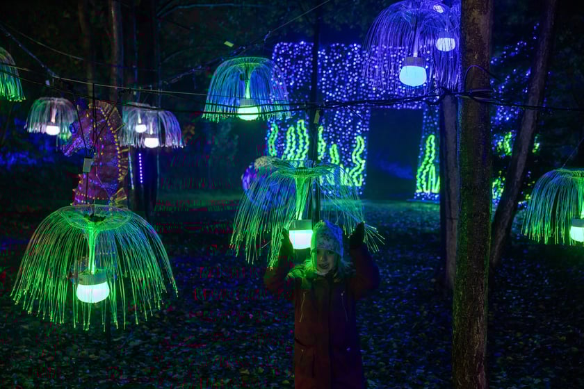 „Filmowe Opowieści” w Lumina Park w Zamku Topacz