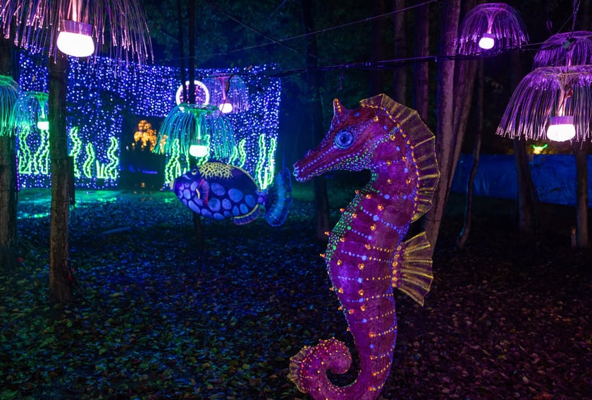 „Filmowe Opowieści” w Lumina Park w Zamku Topacz
