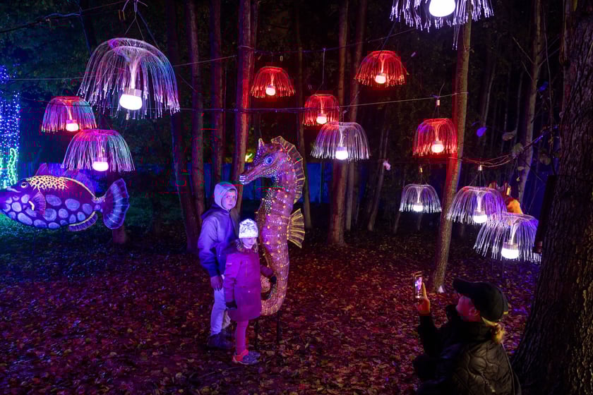 „Filmowe Opowieści” w Lumina Park w Zamku Topacz