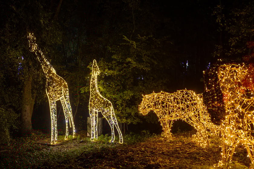 „Filmowe Opowieści” w Lumina Park w Zamku Topacz