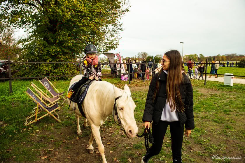 Oprowadzanie podczas dnia wyścigowego