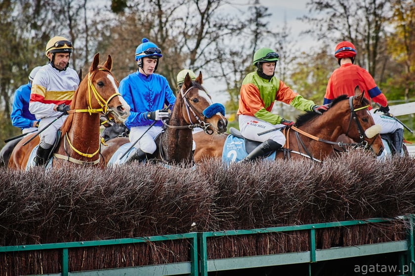 Zawodnicy na koniach