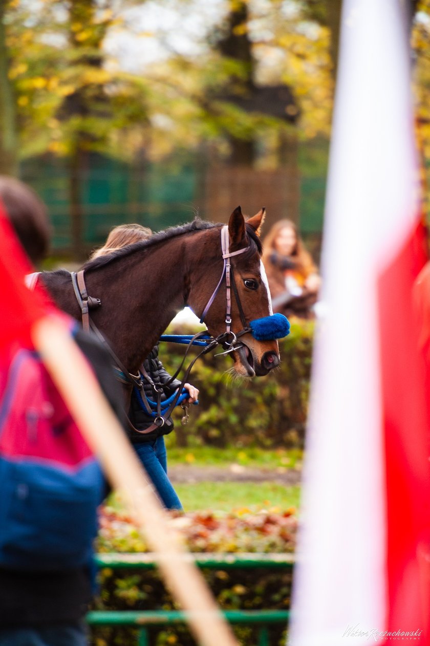 Wrocławski Tor Wyścig&oacute;w Konnych &ndash; Partynice