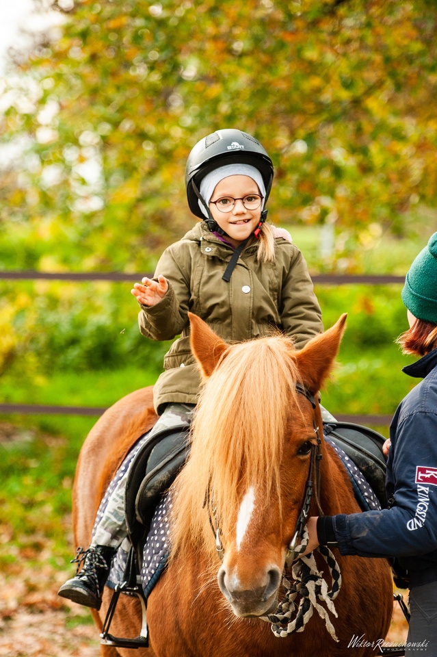 Wrocławski Tor Wyścig&oacute;w Konnych &ndash; Partynice