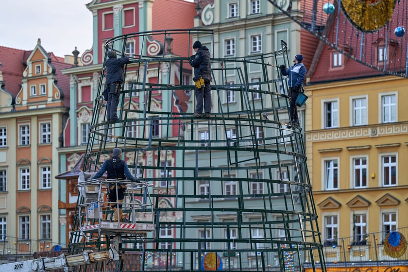 Montaż choinki na wrocławskim Rynku