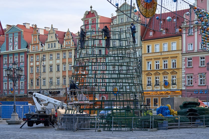 Montaż choinki na wrocławskim Rynku