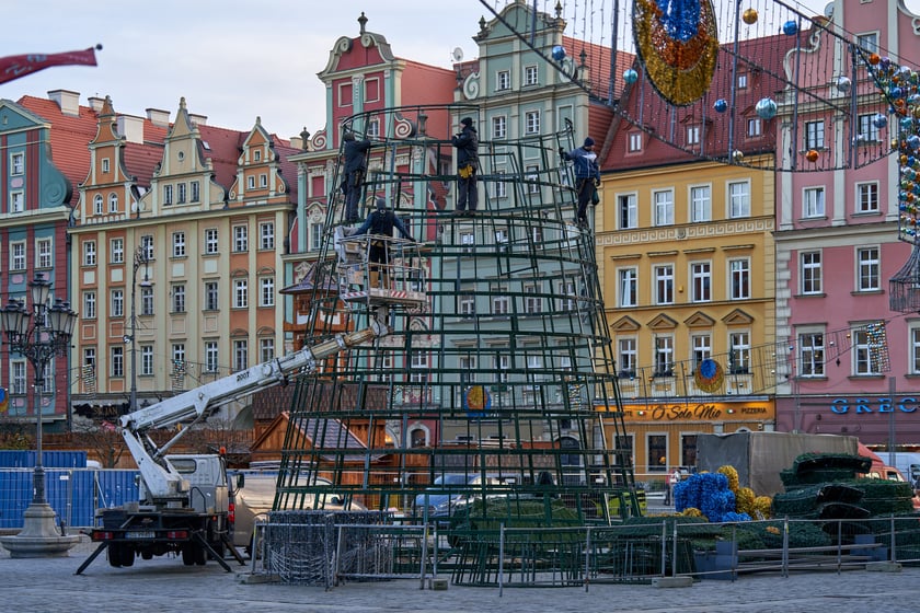 Montaż choinki na wrocławskim Rynku