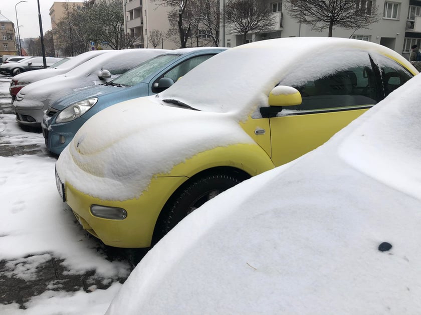 zima we Wrocławiu, 28.11.2023