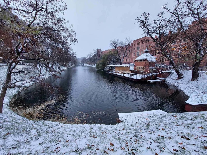zima we Wrocławiu, 28.11.2023