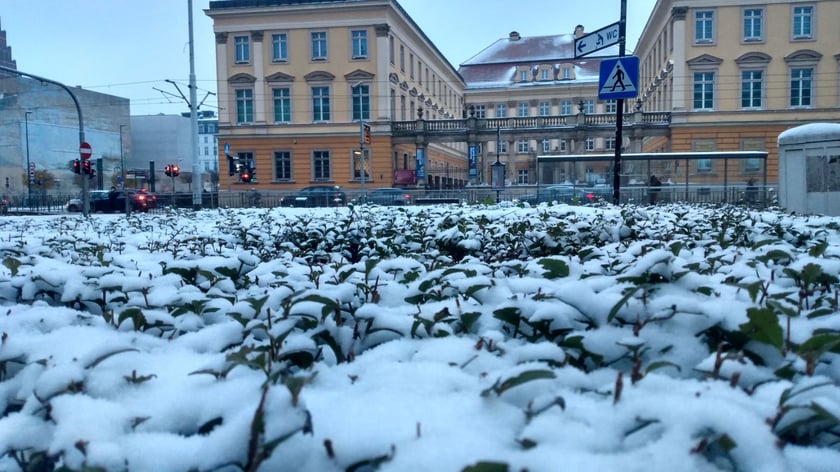 zima we Wrocławiu, 28.11.2023