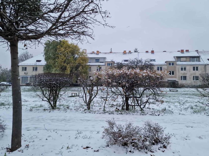 zima we Wrocławiu, 28.11.2023