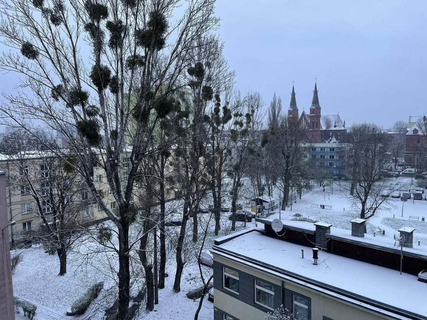 zima we Wrocławiu, 28.11.2023