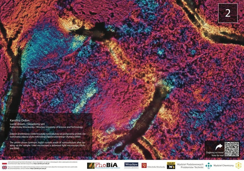 Ciekłe kryształy nanocelulozy