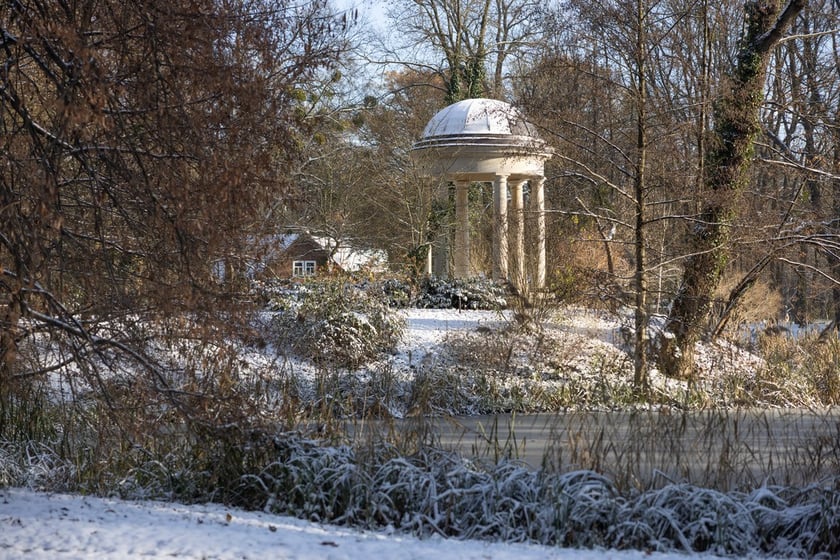 Pałac Korn&oacute;w w Pawłowicach - park&nbsp;
