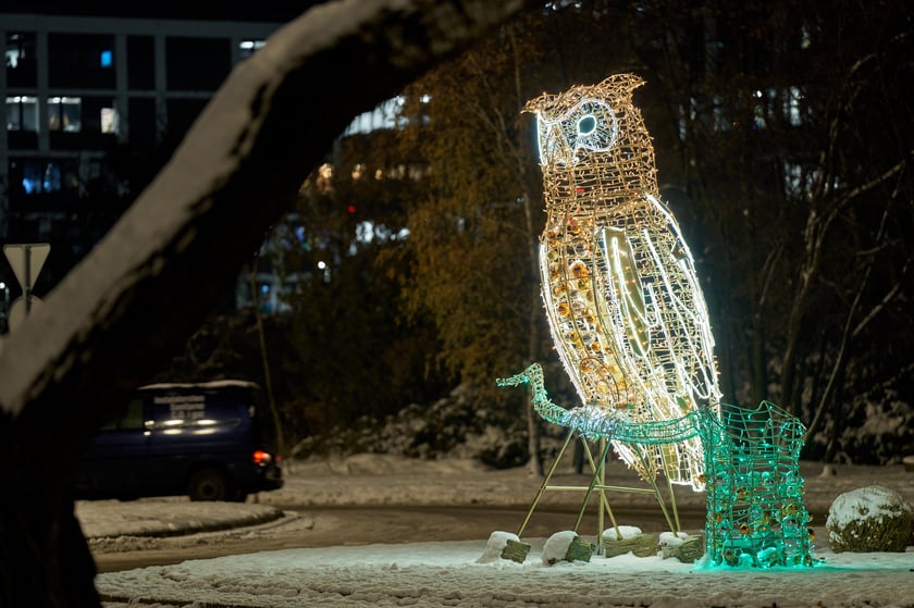 Iluminacje świąteczne wokół wrocławskich galerii