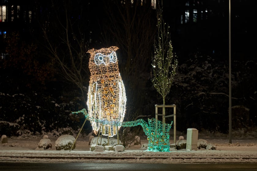 Iluminacje świąteczne wokół wrocławskich galerii
