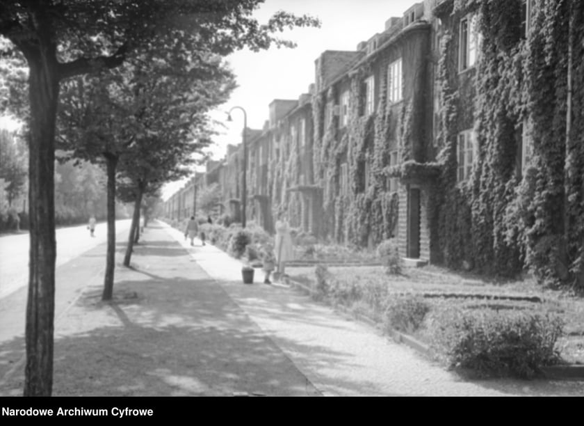 Wrocław tuż po II wojnie światowej. Rok 1950