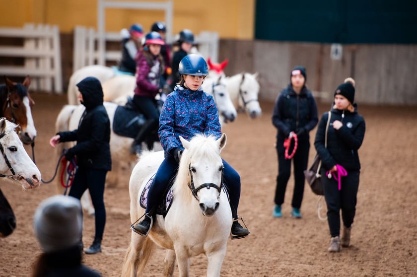 Ferie jeździeckie na Partynicach