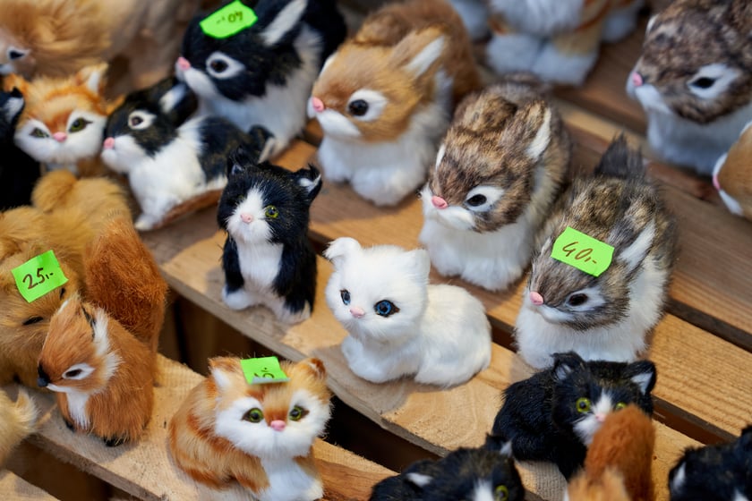 Rzeczy, które można kupić na dzieci na jarmarku we Wrocławiu