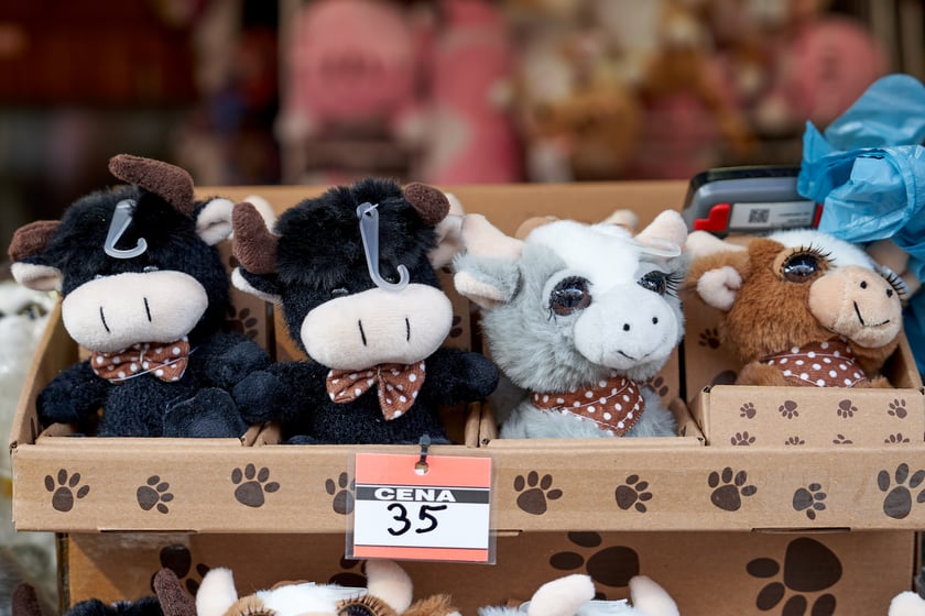 Rzeczy, które można kupić na dzieci na jarmarku we Wrocławiu