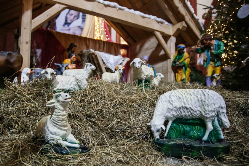 Bożonarodzeniowa szopka w kościele św. Marii Magdaleny