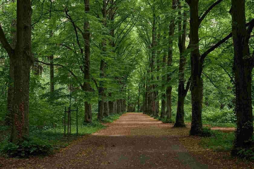 Park Grabiszyński