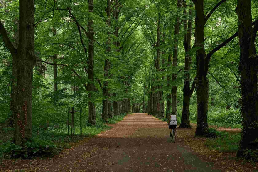 Park Grabiszyński
