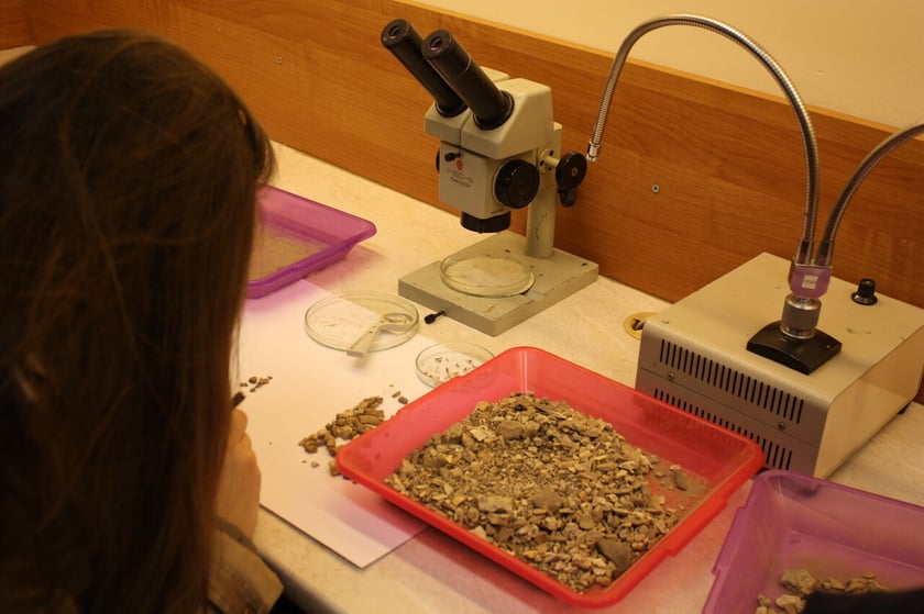 Zajęcia w laboratoriach podczas Nocy Biolog&oacute;w