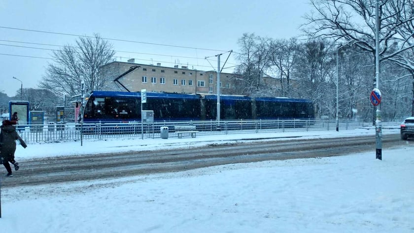 Zima wróciła do Wrocławia