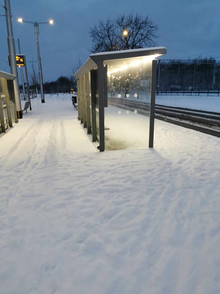 Zima wróciła do Wrocławia
