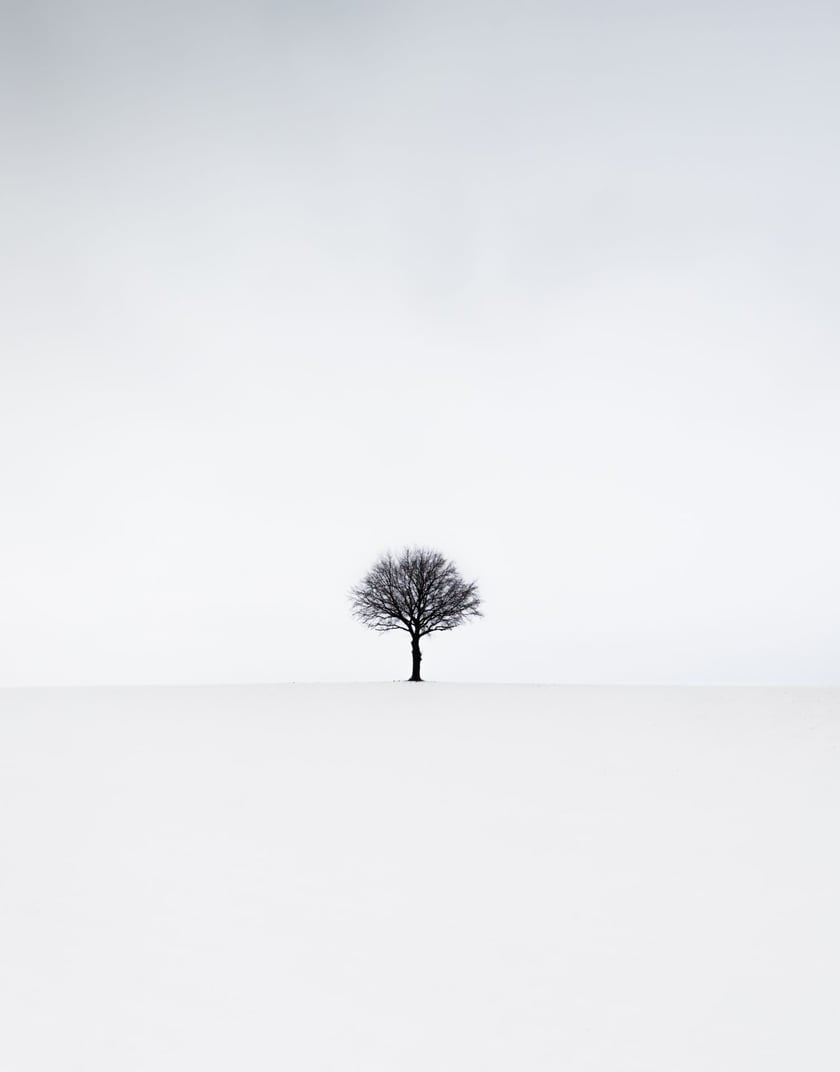 Zimowy krajobraz z drzewem. Michał Sadowski często stawia na minimalizm w fotografii